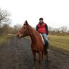 Алексей, 36, г.Псков Алексей, 36, г.Псков