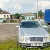 виталий, 39, г.Базарный Сызган виталий, 39, г.Базарный Сызган